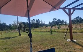 Quinta Coração d'Ouro